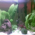 Aquarium
