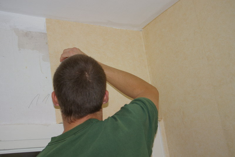 Fabse tapeziert