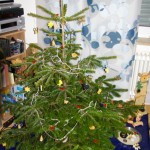 Weihnachtsbaum