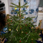 Weihnachtsbaum